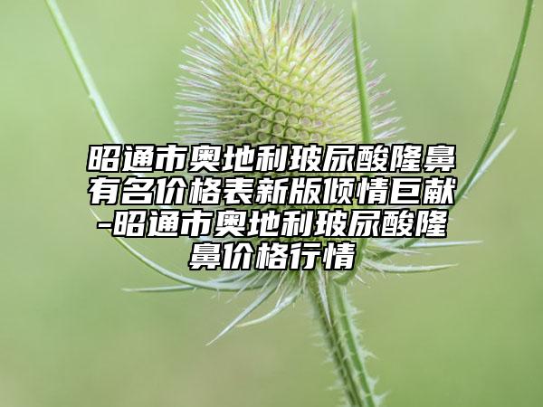昭通市奧地利玻尿酸隆鼻有名價格表新版傾情巨獻-昭通市奧地利玻尿酸隆鼻價格行情