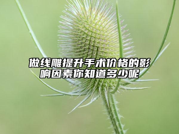 做線雕提升手術(shù)價(jià)格的影響因素你知道多少呢