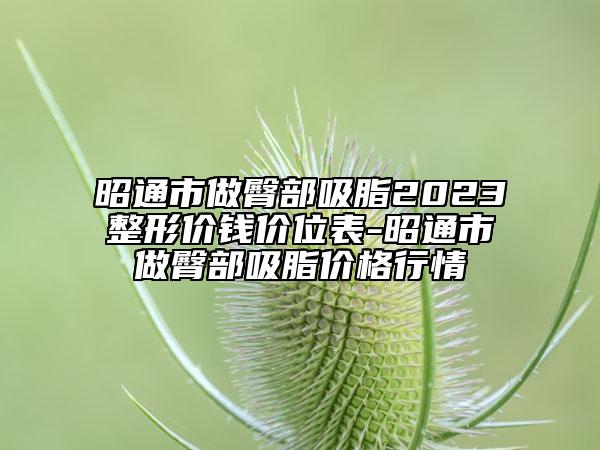 昭通市做臀部吸脂2023整形價(jià)錢(qián)價(jià)位表-昭通市做臀部吸脂價(jià)格行情