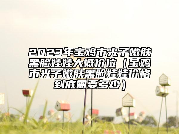 2023年寶雞市光子嫩膚黑臉娃娃大概價位（寶雞市光子嫩膚黑臉娃娃價格到底需要多少）