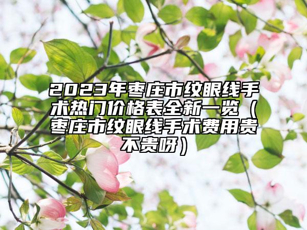 2023年棗莊市紋眼線手術(shù)熱門價格表全新一覽（棗莊市紋眼線手術(shù)費用貴不貴呀）