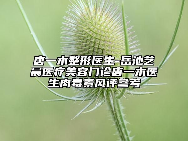 唐一木整形醫(yī)生-岳池藝晨醫(yī)療美容門診唐一木醫(yī)生肉毒素風評參考