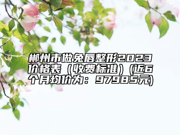 郴州市做兔唇整形2023價格表（收費標準）(近6個月均價為：97985元)