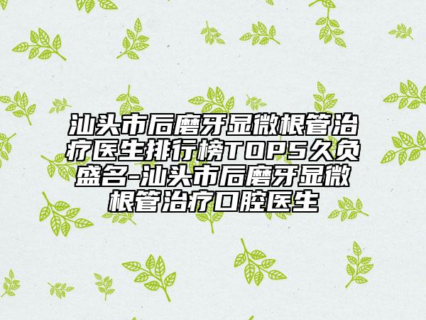 汕頭市后磨牙顯微根管治療醫(yī)生排行榜TOP5久負(fù)盛名-汕頭市后磨牙顯微根管治療口腔醫(yī)生