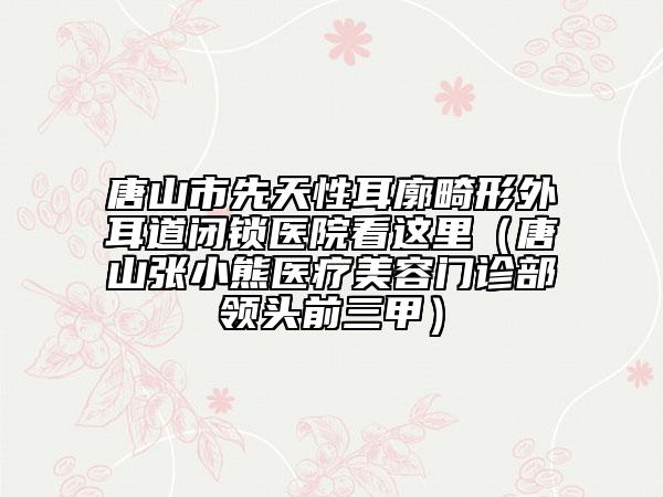 唐山市先天性耳廓畸形外耳道閉鎖醫(yī)院看這里（唐山張小熊醫(yī)療美容門(mén)診部領(lǐng)頭前三甲）