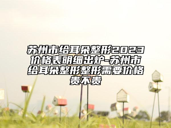 蘇州市給耳朵整形2023價格表明細出爐-蘇州市給耳朵整形整形需要價格貴不貴