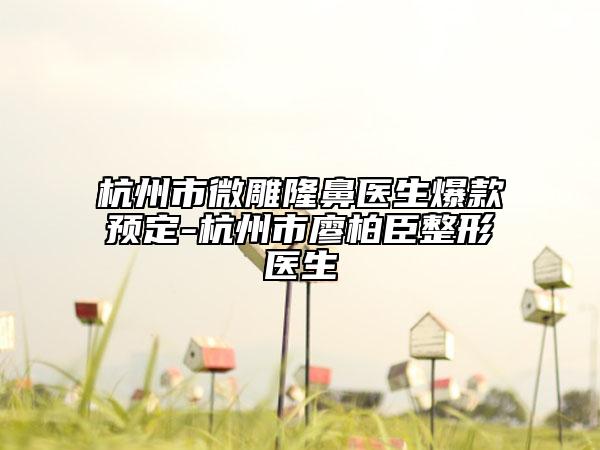 杭州市微雕隆鼻醫(yī)生爆款預定-杭州市廖柏臣整形醫(yī)生