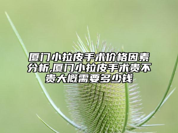 廈門小拉皮手術(shù)價(jià)格因素分析,廈門小拉皮手術(shù)貴不貴大概需要多少錢