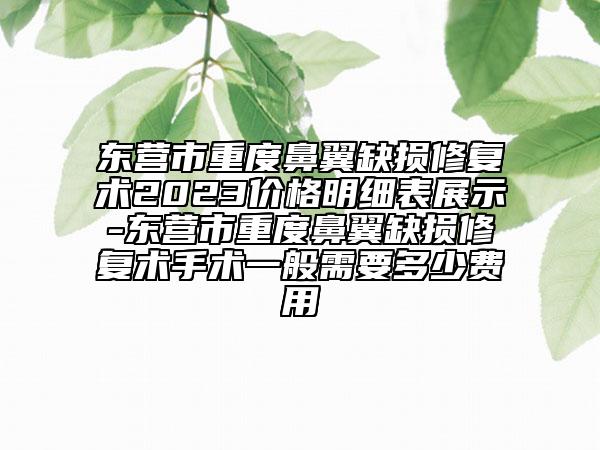 東營(yíng)市重度鼻翼缺損修復(fù)術(shù)2023價(jià)格明細(xì)表展示-東營(yíng)市重度鼻翼缺損修復(fù)術(shù)手術(shù)一般需要多少費(fèi)用