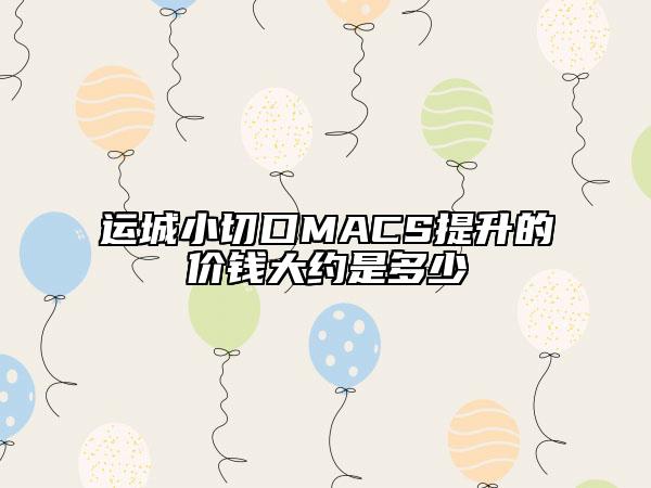 運(yùn)城小切口MACS提升的價(jià)錢大約是多少