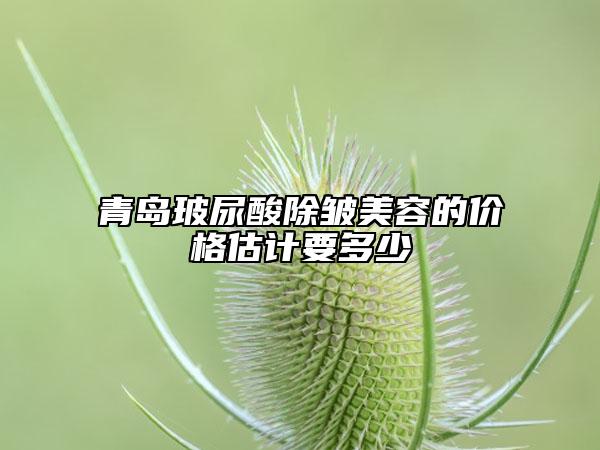 青島玻尿酸除皺美容的價格估計要多少