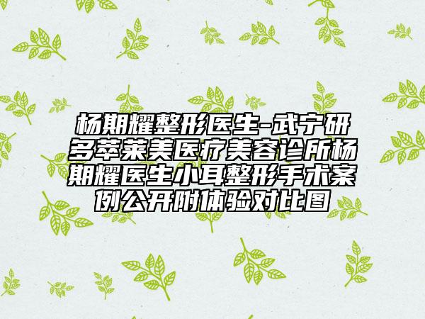 楊期耀整形醫(yī)生-武寧研多萃萊美醫(yī)療美容診所楊期耀醫(yī)生小耳整形手術案例公開附體驗對比圖
