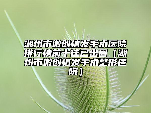 湖州市微創(chuàng)植發(fā)手術醫(yī)院排行榜前十佳已出圈（湖州市微創(chuàng)植發(fā)手術整形醫(yī)院）