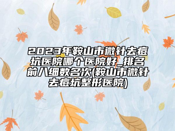 2023年鞍山市微針去痘坑醫(yī)院哪個(gè)醫(yī)院好_排名前八細(xì)數(shù)名次(鞍山市微針去痘坑整形醫(yī)院)