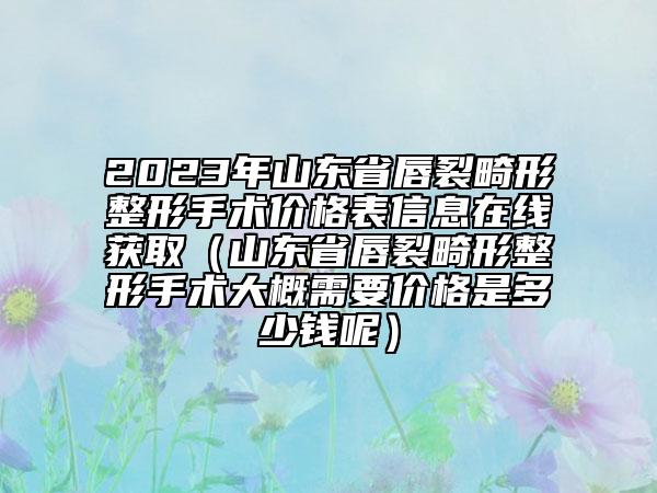 2023年山東省唇裂畸形整形手術(shù)價(jià)格表信息在線獲取（山東省唇裂畸形整形手術(shù)大概需要價(jià)格是多少錢呢）