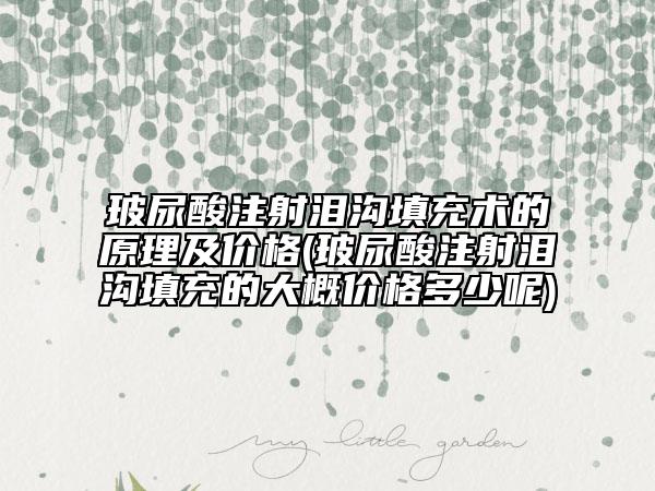 玻尿酸注射淚溝填充術(shù)的原理及價格(玻尿酸注射淚溝填充的大概價格多少呢)