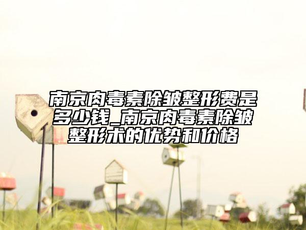 南京肉毒素除皺整形費是多少錢_南京肉毒素除皺整形術(shù)的優(yōu)勢和價格