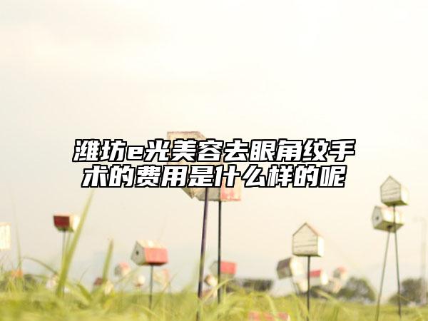 濰坊e光美容去眼角紋手術(shù)的費用是什么樣的呢
