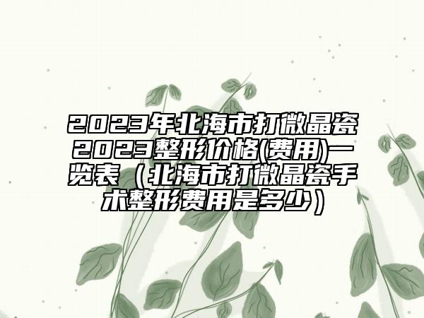 2023年北海市打微晶瓷2023整形價格(費用)一覽表（北海市打微晶瓷手術(shù)整形費用是多少）