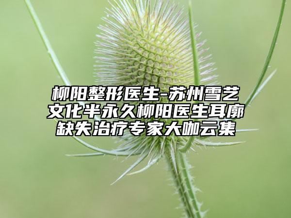 柳陽整形醫(yī)生-蘇州雪藝文化半永久柳陽醫(yī)生耳廓缺失治療專家大咖云集