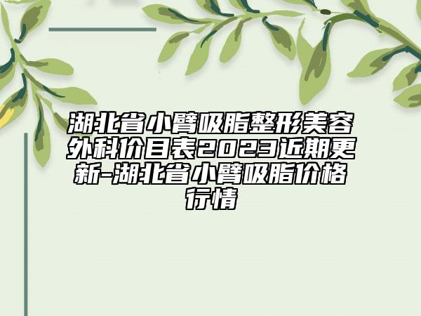 湖北省小臂吸脂整形美容外科價(jià)目表2023近期更新-湖北省小臂吸脂價(jià)格行情