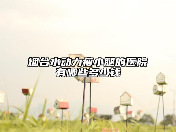 煙臺水動力瘦小腿的醫(yī)院有哪些多少錢
