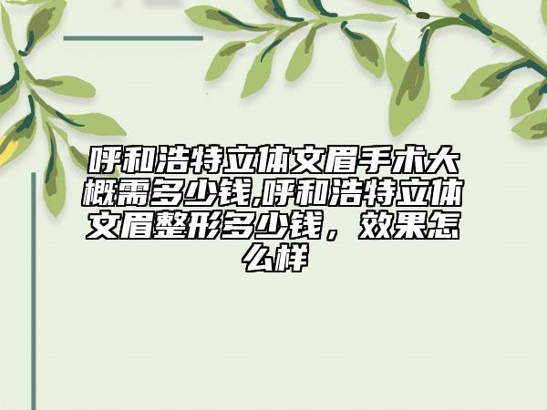 呼和浩特立體文眉手術大概需多少錢,呼和浩特立體文眉整形多少錢，效果怎么樣