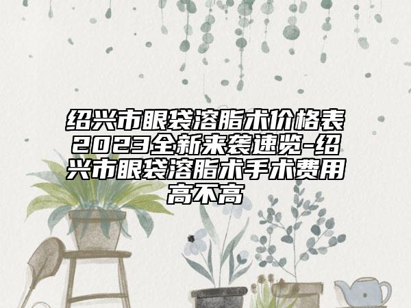 紹興市眼袋溶脂術(shù)價格表2023全新來襲速覽-紹興市眼袋溶脂術(shù)手術(shù)費用高不高