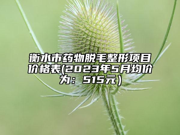 衡水市藥物脫毛整形項目價格表(2023年5月均價為：515元）