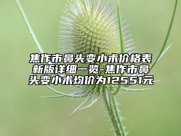 焦作市鼻頭變小術(shù)價格表新版詳細一覽-焦作市鼻頭變小術(shù)均價為12551元