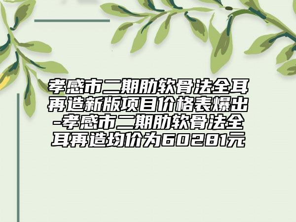 孝感市二期肋軟骨法全耳再造新版項目價格表爆出-孝感市二期肋軟骨法全耳再造均價為60281元