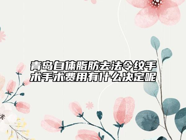 青島自體脂肪去法令紋手術(shù)手術(shù)費(fèi)用有什么決定呢