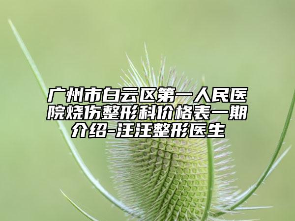 廣州市白云區(qū)第一人民醫(yī)院燒傷整形科價格表一期介紹-汪汪整形醫(yī)生