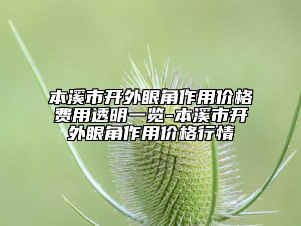 本溪市開外眼角作用價格費用透明一覽-本溪市開外眼角作用價格行情