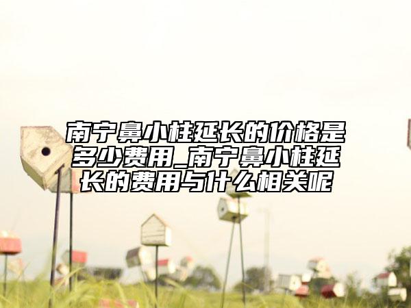 南寧鼻小柱延長的價格是多少費用_南寧鼻小柱延長的費用與什么相關(guān)呢