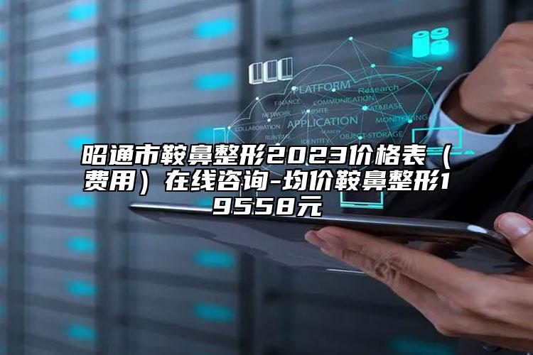 昭通市鞍鼻整形2023價格表（費用）在線咨詢-均價鞍鼻整形19558元