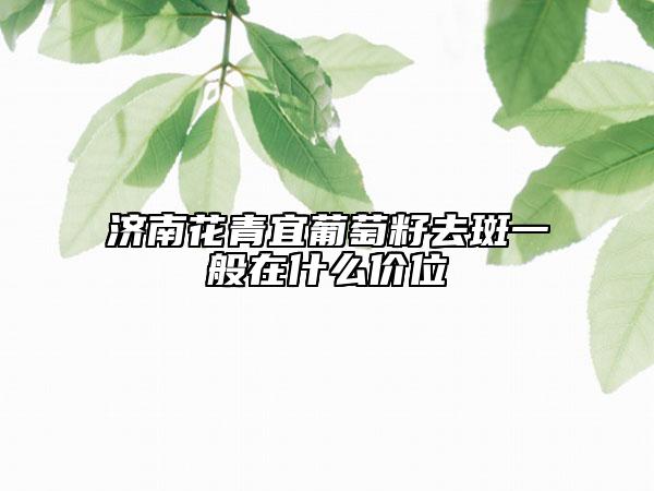 濟南花青宜葡萄籽去斑一般在什么價位