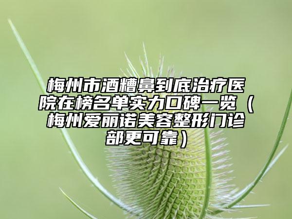 梅州市酒糟鼻到底治療醫(yī)院在榜名單實力口碑一覽（梅州愛麗諾美容整形門診部更可靠）