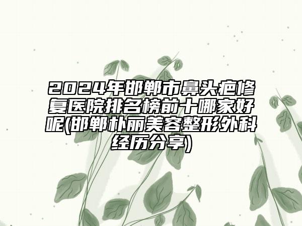 2024年邯鄲市鼻頭疤修復醫(yī)院排名榜前十哪家好呢(邯鄲樸麗美容整形外科經(jīng)歷分享)