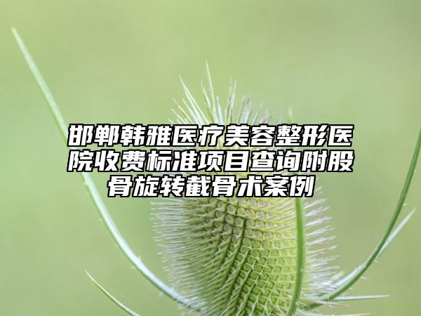 邯鄲韓雅醫(yī)療美容整形醫(yī)院收費(fèi)標(biāo)準(zhǔn)項目查詢附股骨旋轉(zhuǎn)截骨術(shù)案例