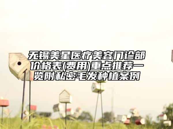 無錫美星醫(yī)療美容門診部價格表(費(fèi)用)重點(diǎn)推薦一覽附私密毛發(fā)種植案例