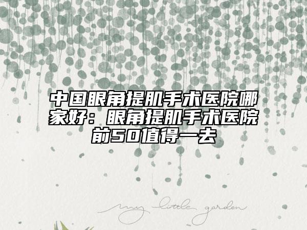 中國眼角提肌手術醫(yī)院哪家好：眼角提肌手術醫(yī)院前50值得一去