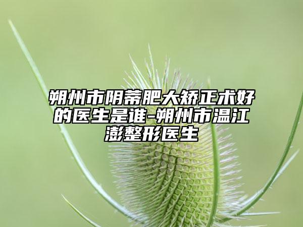 朔州市陰蒂肥大矯正術(shù)好的醫(yī)生是誰-朔州市溫江澎整形醫(yī)生