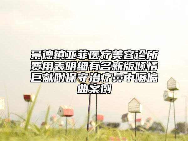 景德鎮(zhèn)亞菲醫(yī)療美容診所費用表明細有名新版傾情巨獻附保守治療鼻中隔偏曲案例