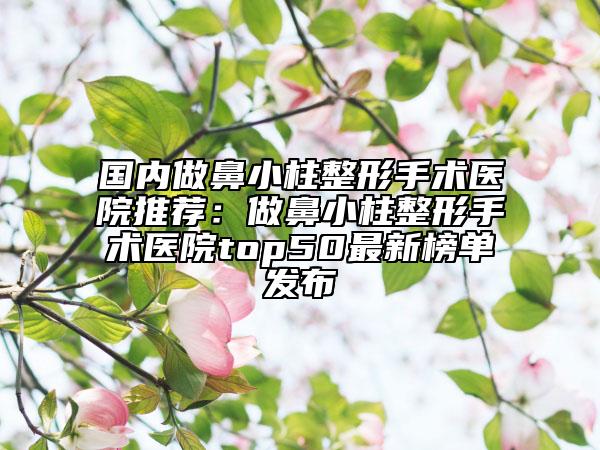 國(guó)內(nèi)做鼻小柱整形手術(shù)醫(yī)院推薦：做鼻小柱整形手術(shù)醫(yī)院top50最新榜單發(fā)布