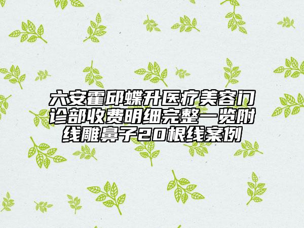 六安霍邱蝶升醫(yī)療美容門診部收費明細(xì)完整一覽附線雕鼻子20根線案例
