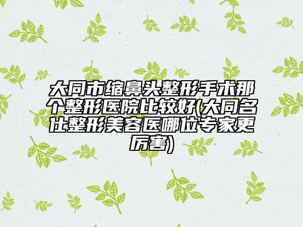 大同市縮鼻頭整形手術(shù)那個整形醫(yī)院比較好(大同名仕整形美容醫(yī)哪位專家更厲害)