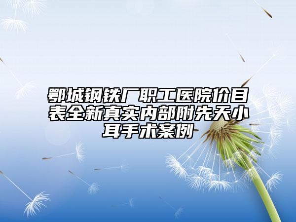 鄂城鋼鐵廠職工醫(yī)院價目表全新真實內(nèi)部附先天小耳手術(shù)案例