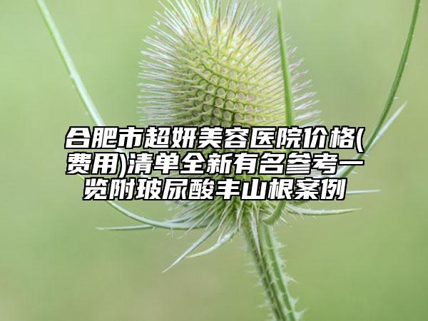 合肥市超妍美容醫(yī)院價(jià)格(費(fèi)用)清單全新有名參考一覽附玻尿酸豐山根案例