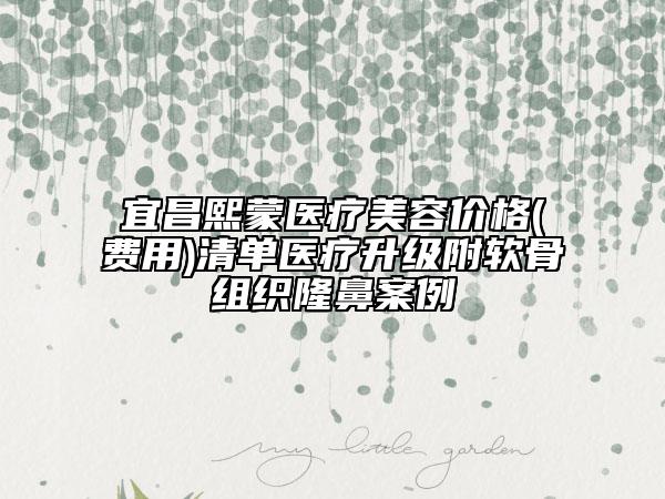 宜昌熙蒙醫(yī)療美容價(jià)格(費(fèi)用)清單醫(yī)療升級(jí)附軟骨組織隆鼻案例